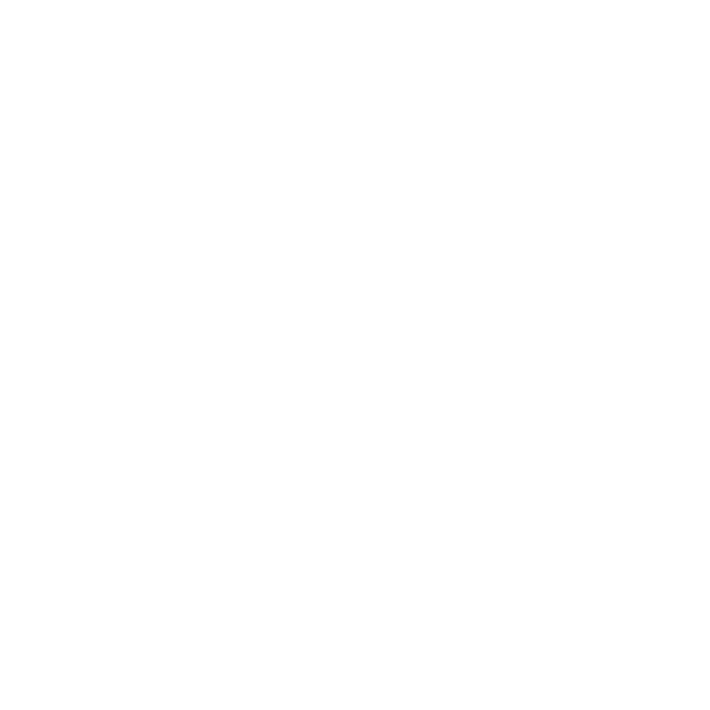 MORBIDELLI Logo